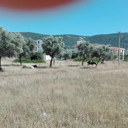 Yakut וילה Akbük