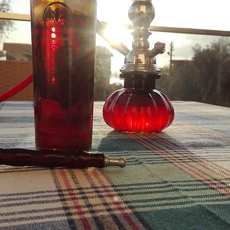 Yakut فيلة *